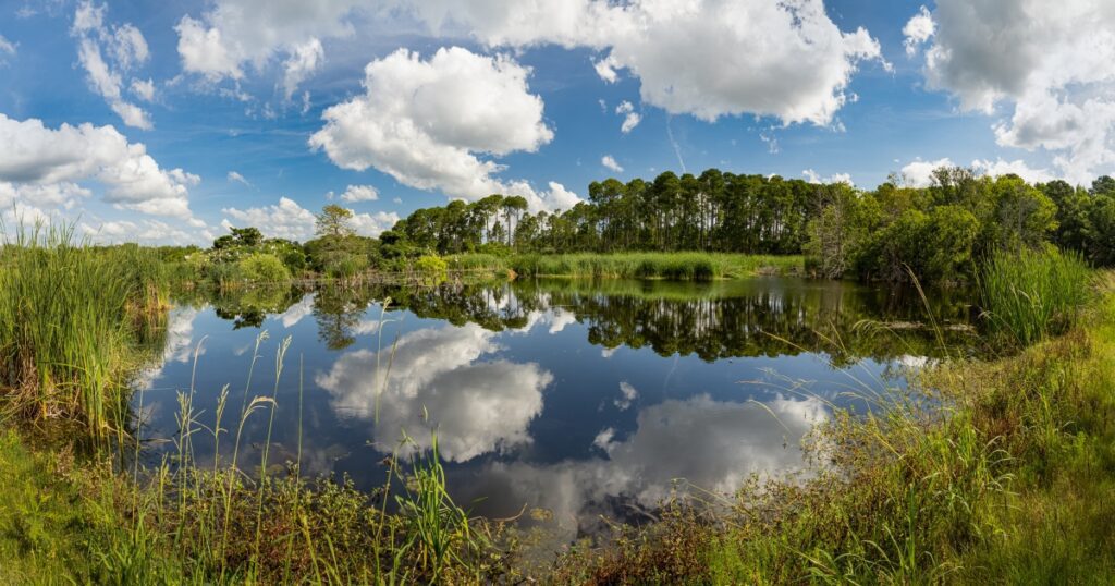 Pinckney Island's Wildlife Refuge