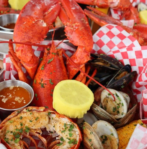 Lobster Bake 53D5DE5B 126E 4640 93958243F6294C0E abacba32 f282 41dd 9a9696c7f0e331cb45861