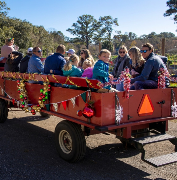 polar wagon ride banner 2 58FB1D59 4FA3 473C 9E988AD941C4301A f380b45e 0fa3 4528 86b7950990e0380246320