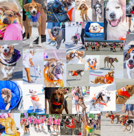 Chamber A7944785 7D49 46BE B3DE4714D5A1C10C 3ac3a408 bb51 486b abca24fadc9b0dfc46805