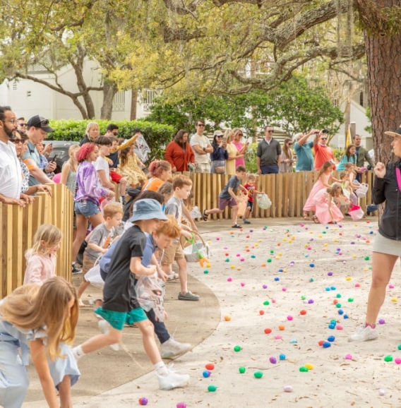 Go 3DFFEA75 E225 43F4 9059ED7E3172E696 d83bc7de a435 40dd 9aaf58a58d42bf3a46792