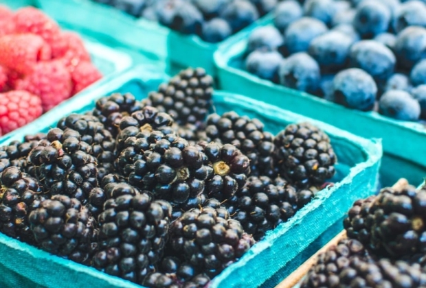 farmers market 2025 37C4FFFD E4FA 4630 9C7BC5CC2BA6E1CA 19dec0c1 77f3 4787 a259be3c8136632945809 1